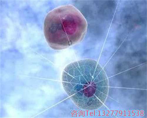 北京完全代孕价格,广州中六试管大概多少钱