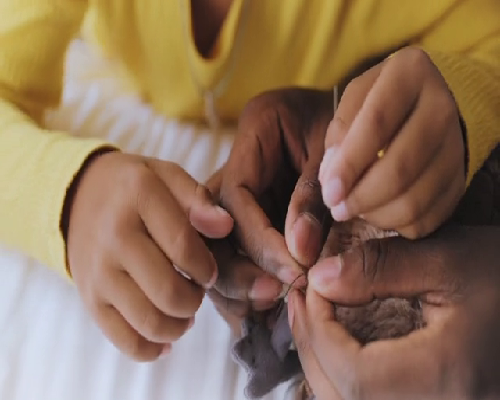 西安植物园门票政策及助孕相关指南