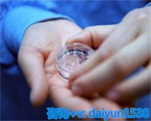 60万包生男孩服务解析与家庭完整探讨