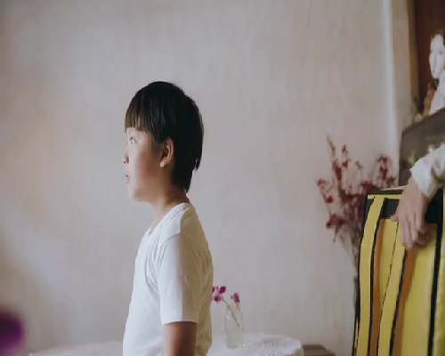 专业团队为您制定最佳代怀孕方案，详解捐卵与费用