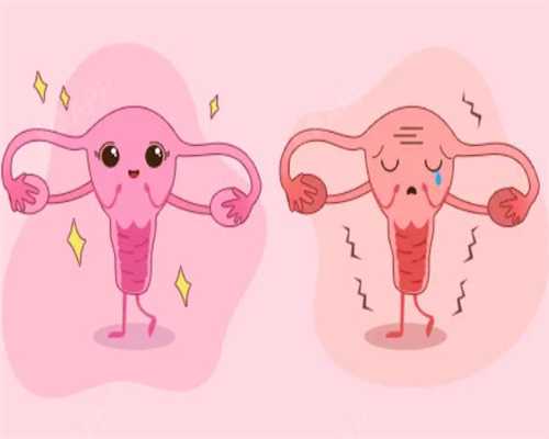 试管助孕选择指南与费用解析