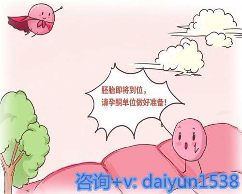 抽脂丰胸手术费用解析与性价比选择指南：预算内实现理想乳房