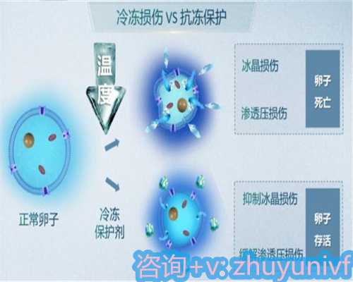 供卵代生中心流程步骤解析