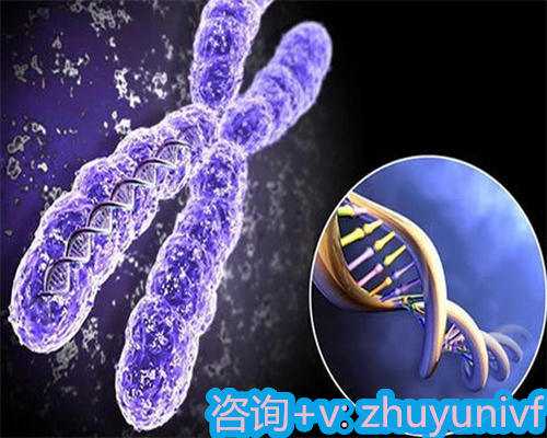 专业助孕机构为不孕不育夫妻简化手续流程