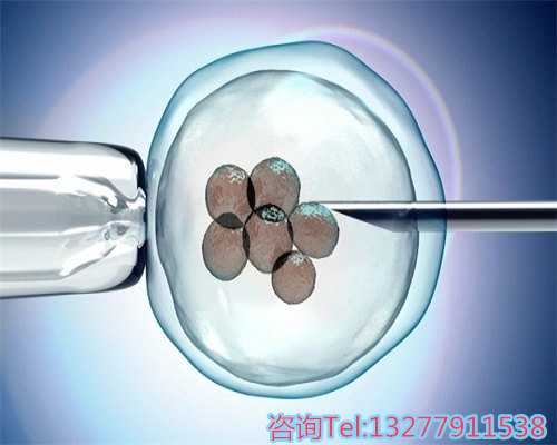 供卵试管助孕实现个人价值的选择指南