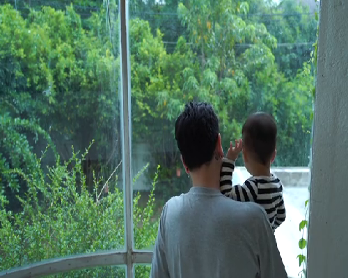 洋葱的健康益处与潜在风险