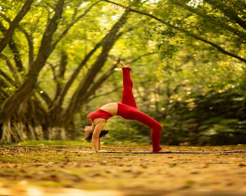 广州助孕生殖机构助力生育梦想，专业服务解析