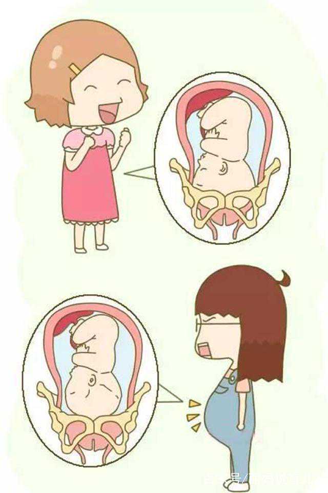 广州第三代试管婴儿完整流程解析与步骤指南