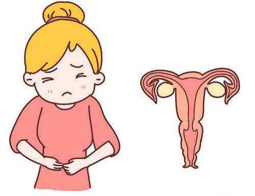 供卵成功故事与助孕服务体验分享